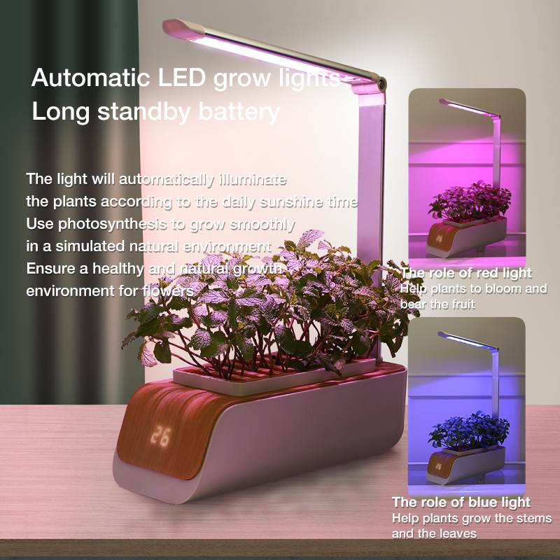 Smart Indoor Herb Garden Kit - Hydroponic Growing System with LED Grow Light