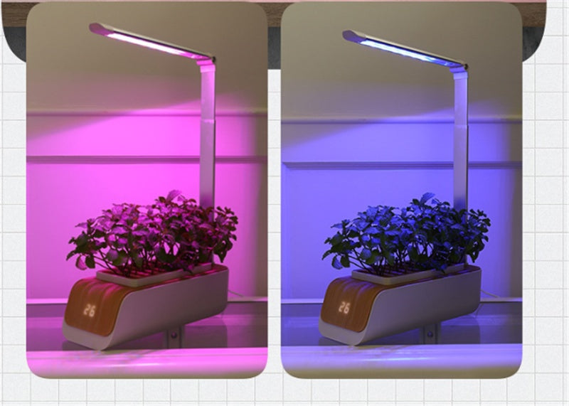 Smart Indoor Herb Garden Kit - Hydroponic Growing System with LED Grow Light
