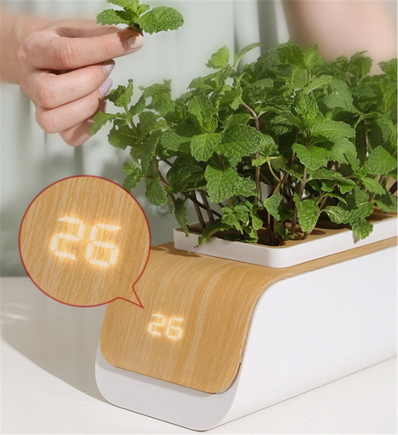 Smart Indoor Herb Garden Kit - Hydroponic Growing System with LED Grow Light