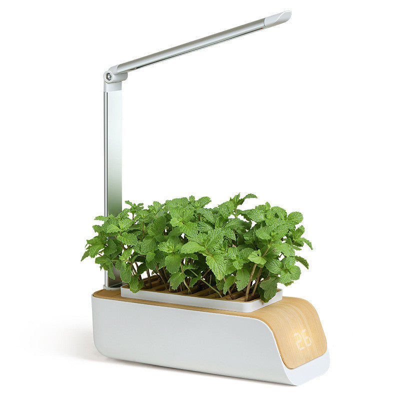 Smart Indoor Herb Garden Kit - Hydroponic Growing System with LED Grow Light